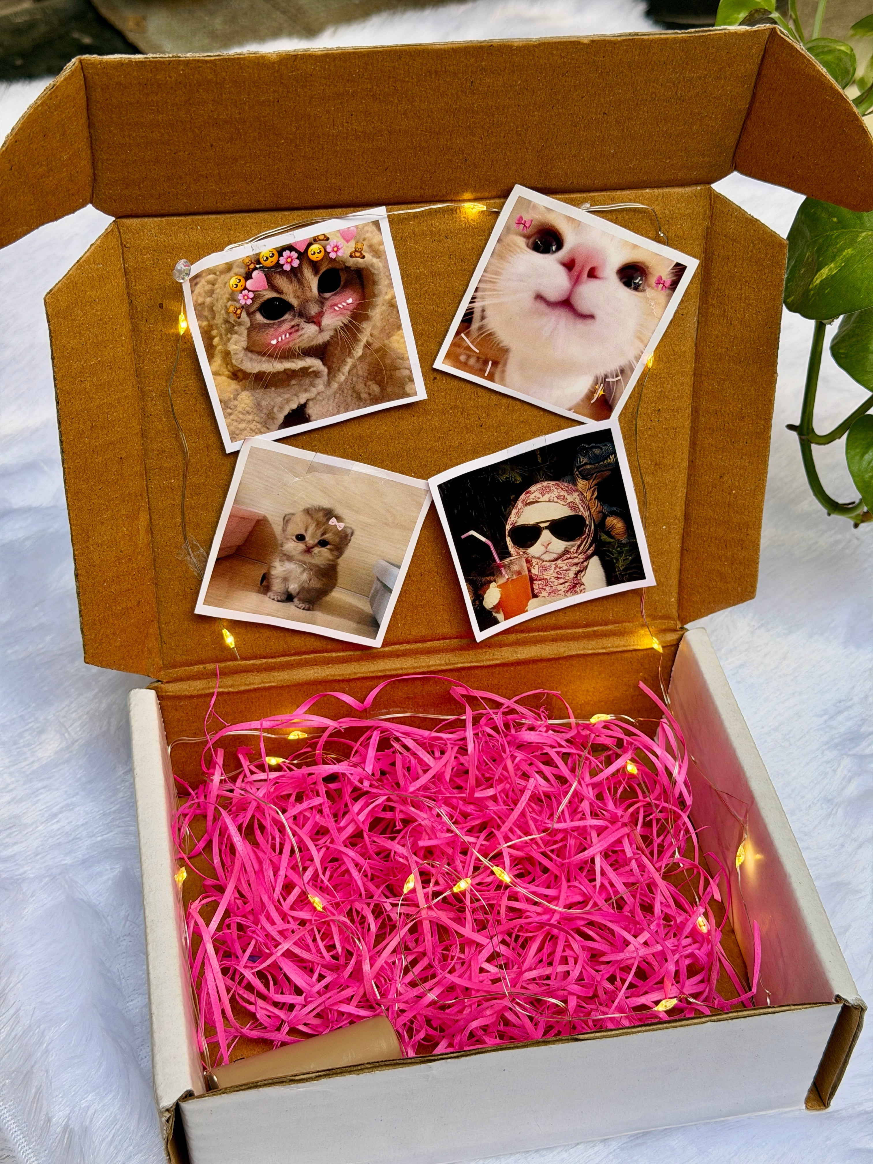 Polaroid Photo Box With LIght